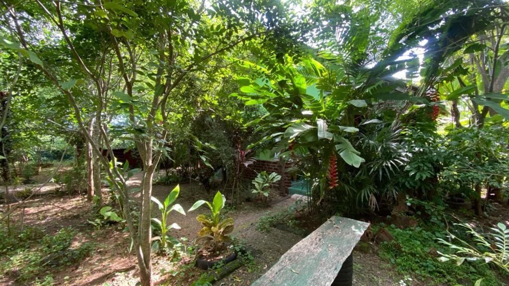 Forest Villa Nature Resort อนุราธปุระ ภายนอก รูปภาพ