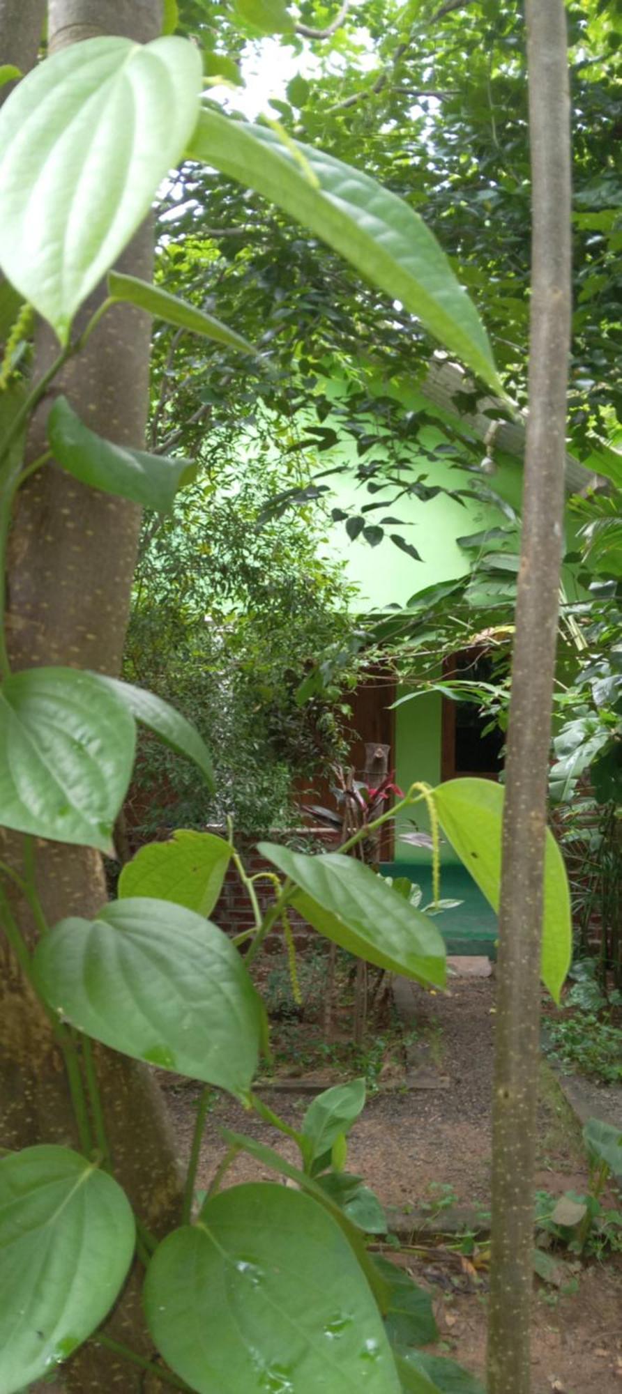 Forest Villa Nature Resort อนุราธปุระ ภายนอก รูปภาพ